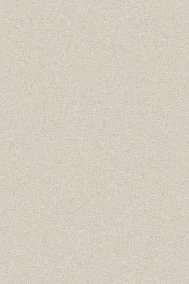 bg_370x555